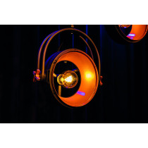 Edison Vintage 2