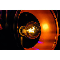 Edison Vintage 2