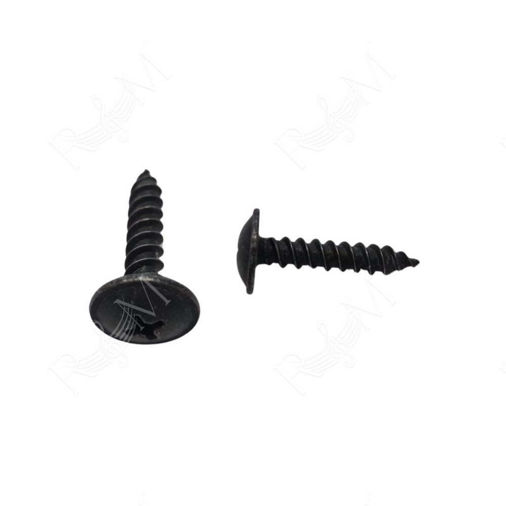 Vite Autofilettante Nera Zincata per Fissaggio Griglia FBT MaxX 2A 4A 5A 6A 9SA Ricambio Originale