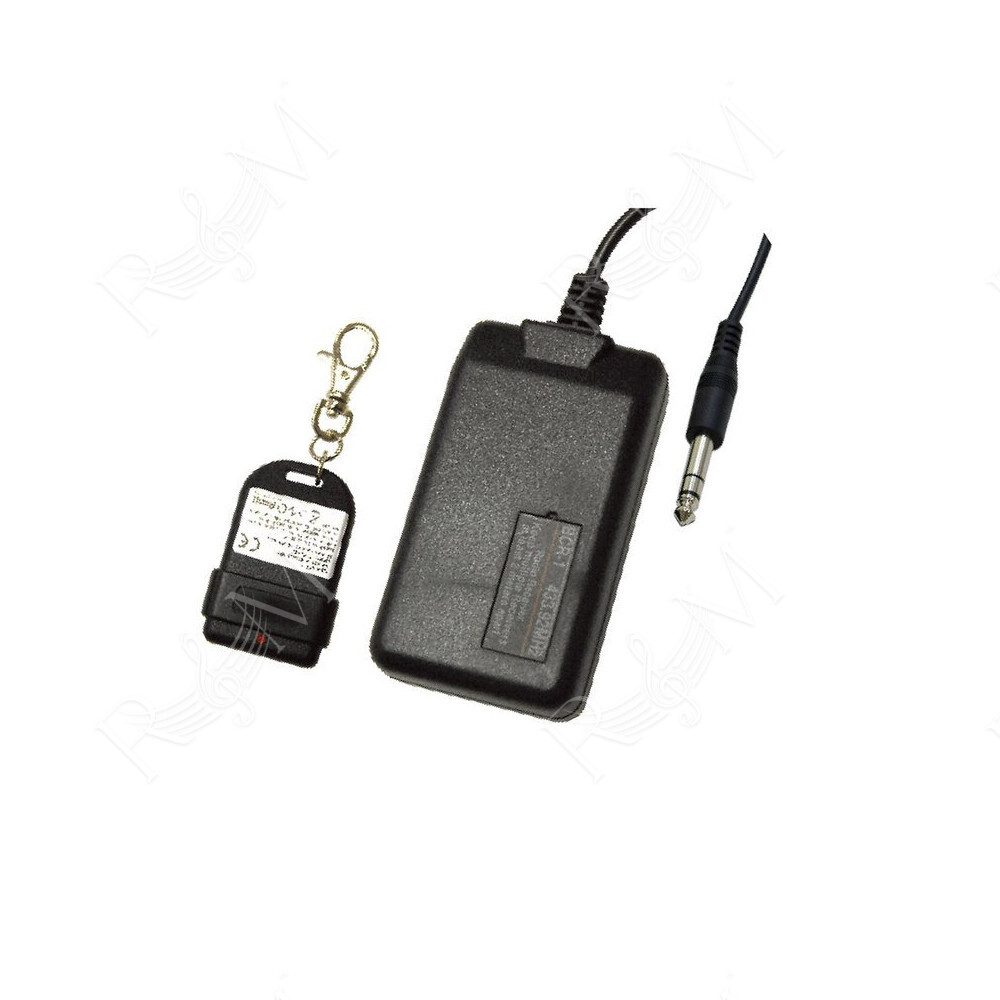 BCR-1 Wireless Remote