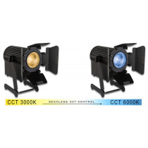 CAM-SPOT 30T W