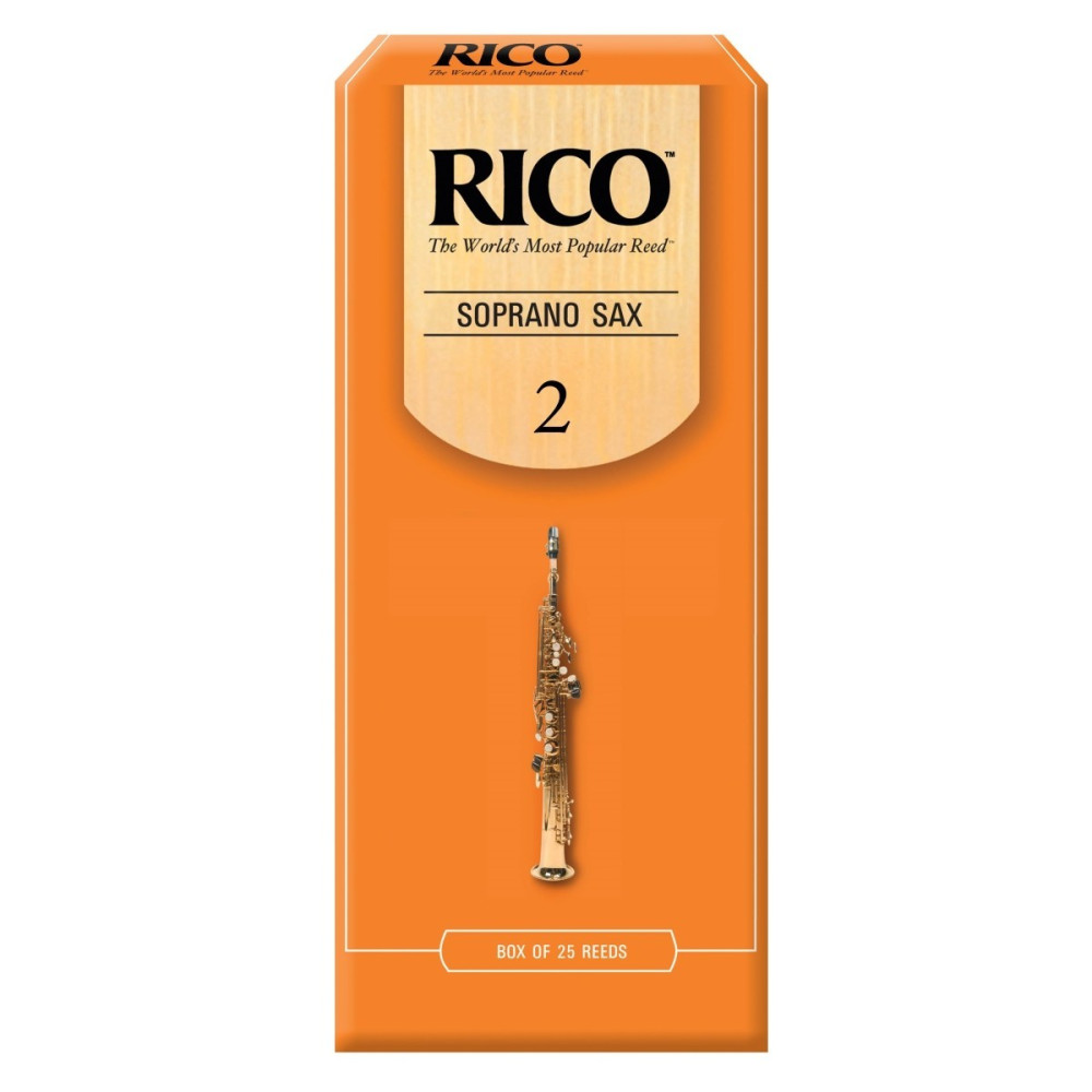 CONF. 25 ANCE RICO RIA2520 SAX SOPRANO 2