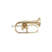 FLICORNO SOPRANO SFLH-10G Sib GOLD SOUNDSATION