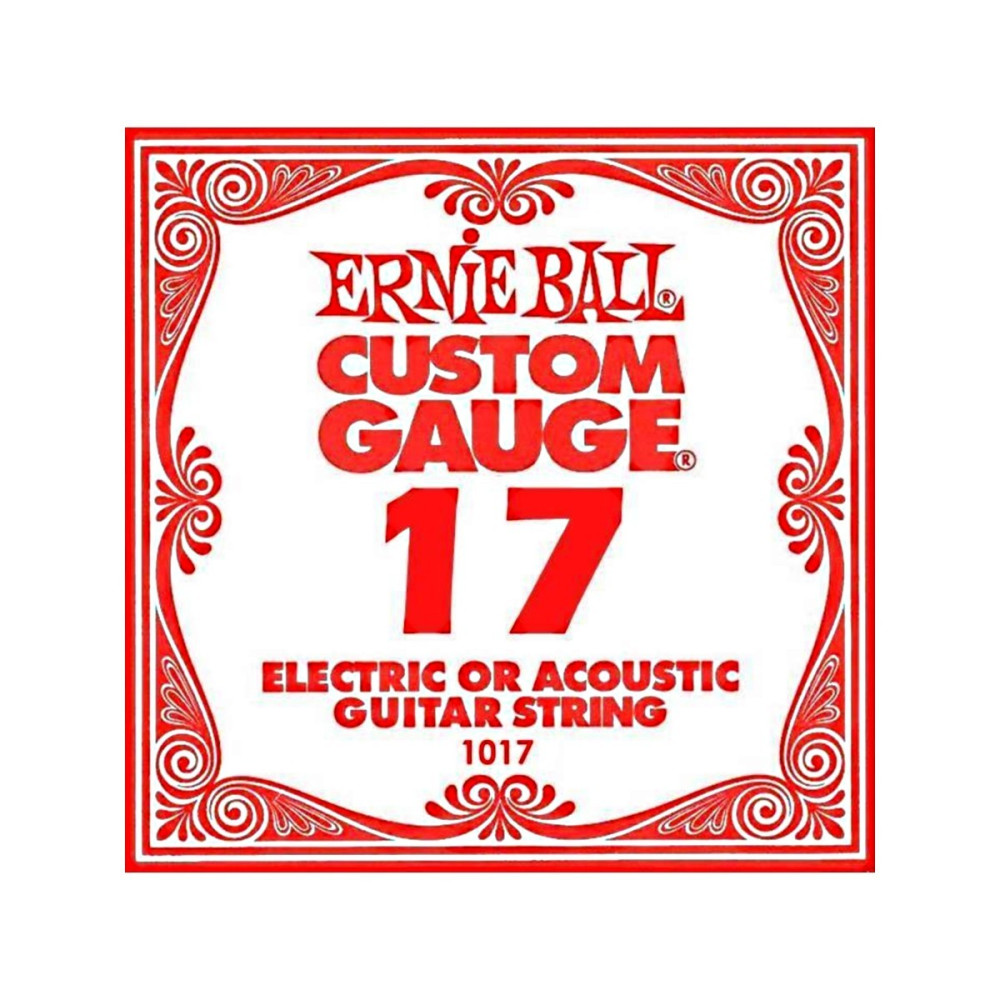 CORDA ERNIE BALL 1017
