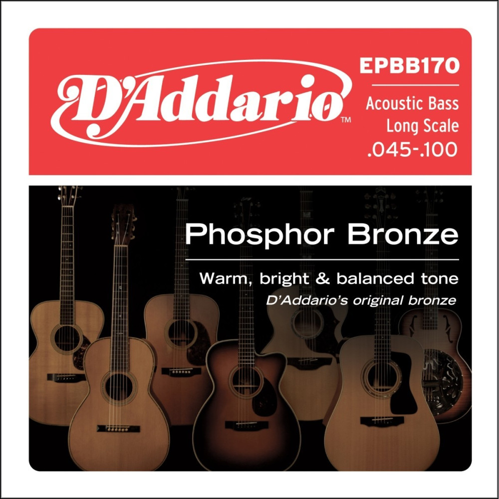 MUTA D'ADDARIO EPBB170