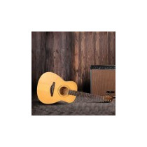CHITARRA ACUSTICA ELETTRIFICATA SOUNDSATION EN36CE-NTS
