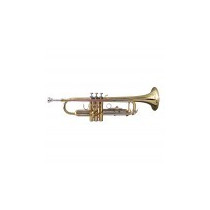 TROMBA SOUNDSATION STPGD-10 GOLD