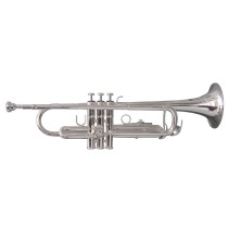 TROMBA SOUNDSATION STPSL-10 SILVER