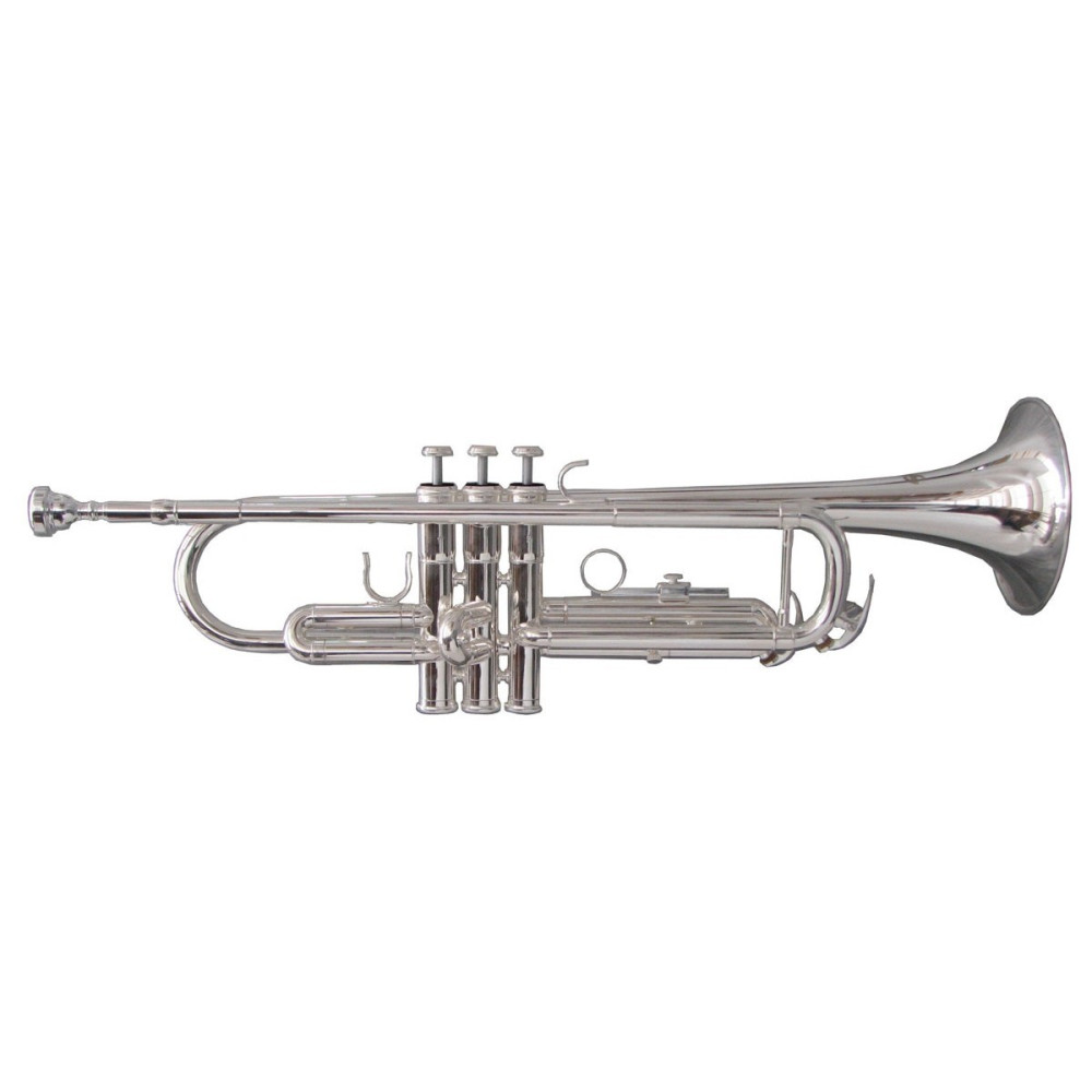 TROMBA SOUNDSATION STPSL-10 SILVER