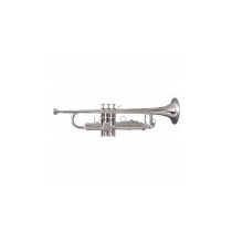 TROMBA SOUNDSATION STPSL-10 SILVER