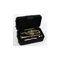 TROMBA SOUNDSATION STPSL-10 SILVER