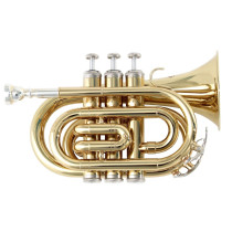 TROMBA SOUNDSATION STPGD-10P POCKET GOLD