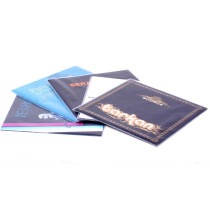 Zomo LP Copri protezione Strong 150 - 100 pezzi 0030102349