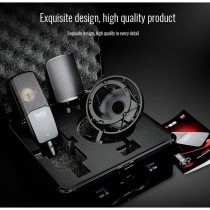 MICROFONO PER STUDIO RECORDING TAKSTAR TAK55 MULTIPATTERN CAPSULA GOLD DUAL