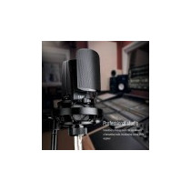 MICROFONO PER STUDIO RECORDING TAKSTAR TAK55 MULTIPATTERN CAPSULA GOLD DUAL