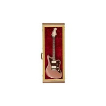 Astuccio Fender Guitar Display  Tweed 0995000300