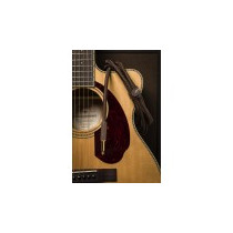 Cavo Fender Paramount 10' Acoustic Instrument , Brown 0990910007