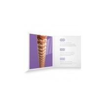 MUTA D'ADDARIO ACUSTICA XSAPB1152 PHOSP BRONZE CUST LT 11/52