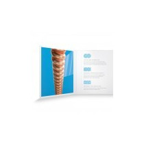 MUTA D'ADDARIO ACUSTICA XSAPB1253 PHOSP BRONZE LIGHT 12/53