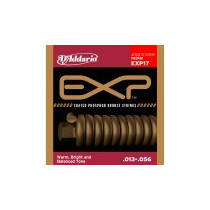 MUTA D'ADDARIO EXP17