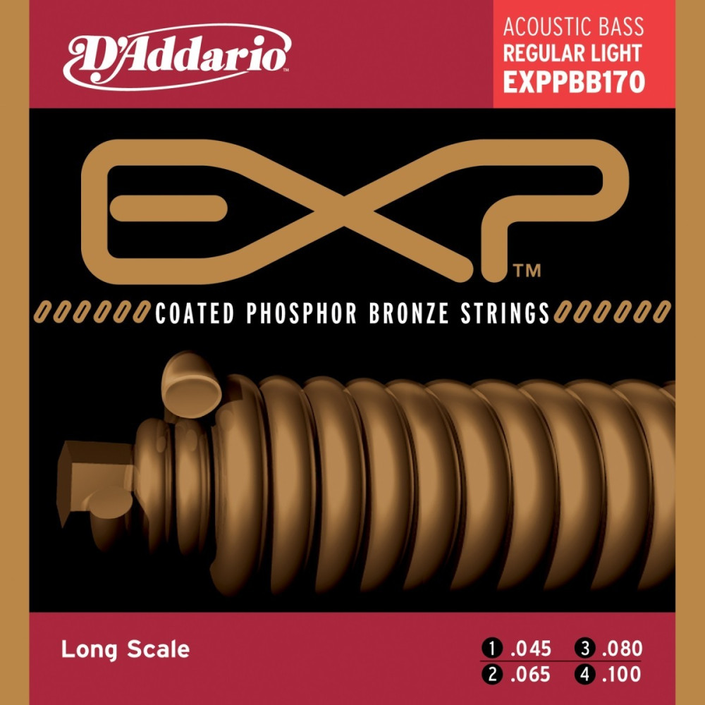 MUTA D'ADDARIO EXP-PBB-170