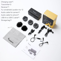 SISTEMA A DOPPIO MICROFONO WIRELESS MAONO AU-WM821