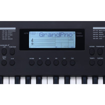 TASTIERA ARRANGER 49 TASTI MINI-SIZE MK49