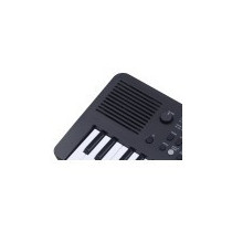 TASTIERA ARRANGER 49 TASTI MINI-SIZE MK49