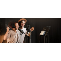 SCHEDA INTERFACCIA AUDIO MAONO PS22