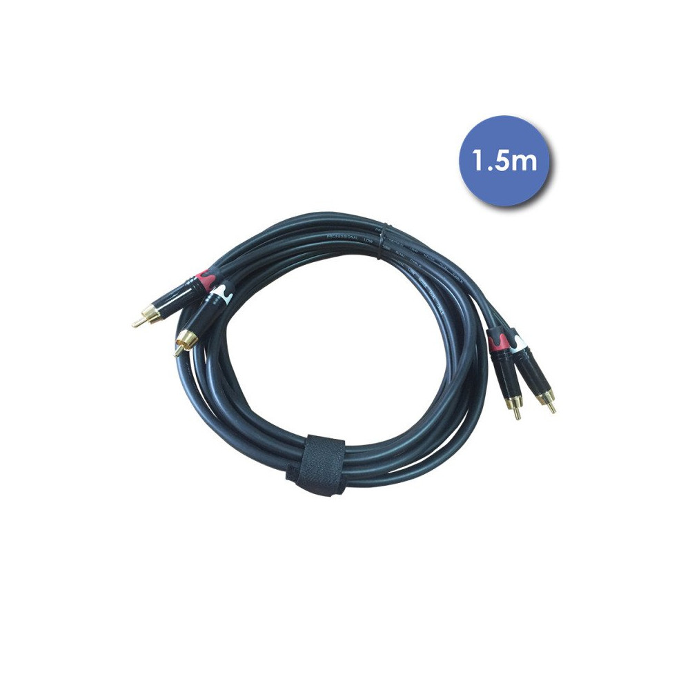 AUDIOCAB 4031