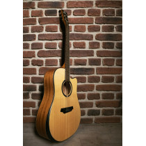 QGA-100 CE Solid Nat (Preamp)