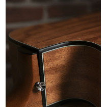 QGA-100 CE Solid Nat (Preamp)