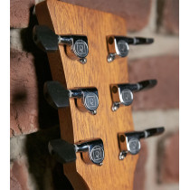 QGA-100 CE Solid Nat (Preamp)