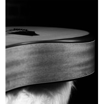 QGA-100 CE Solid Nat (Preamp)