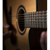 QGA-100 CE Solid Nat (Preamp)