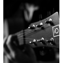 QGA-100 CE Solid Nat (Preamp)