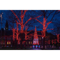 Capsule Strings 250 RGB LED - clear