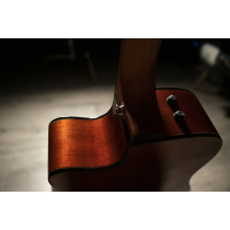 QGA-100CE SBG (Preamp)