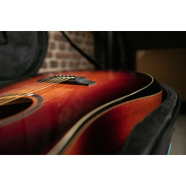 QGA-100CE SBG (Preamp)