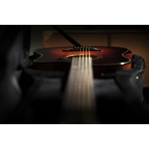 QGA-100CE SBG (Preamp)