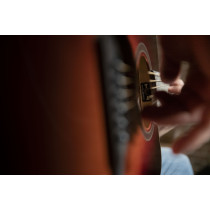 QGA-100CE SBG (Preamp)