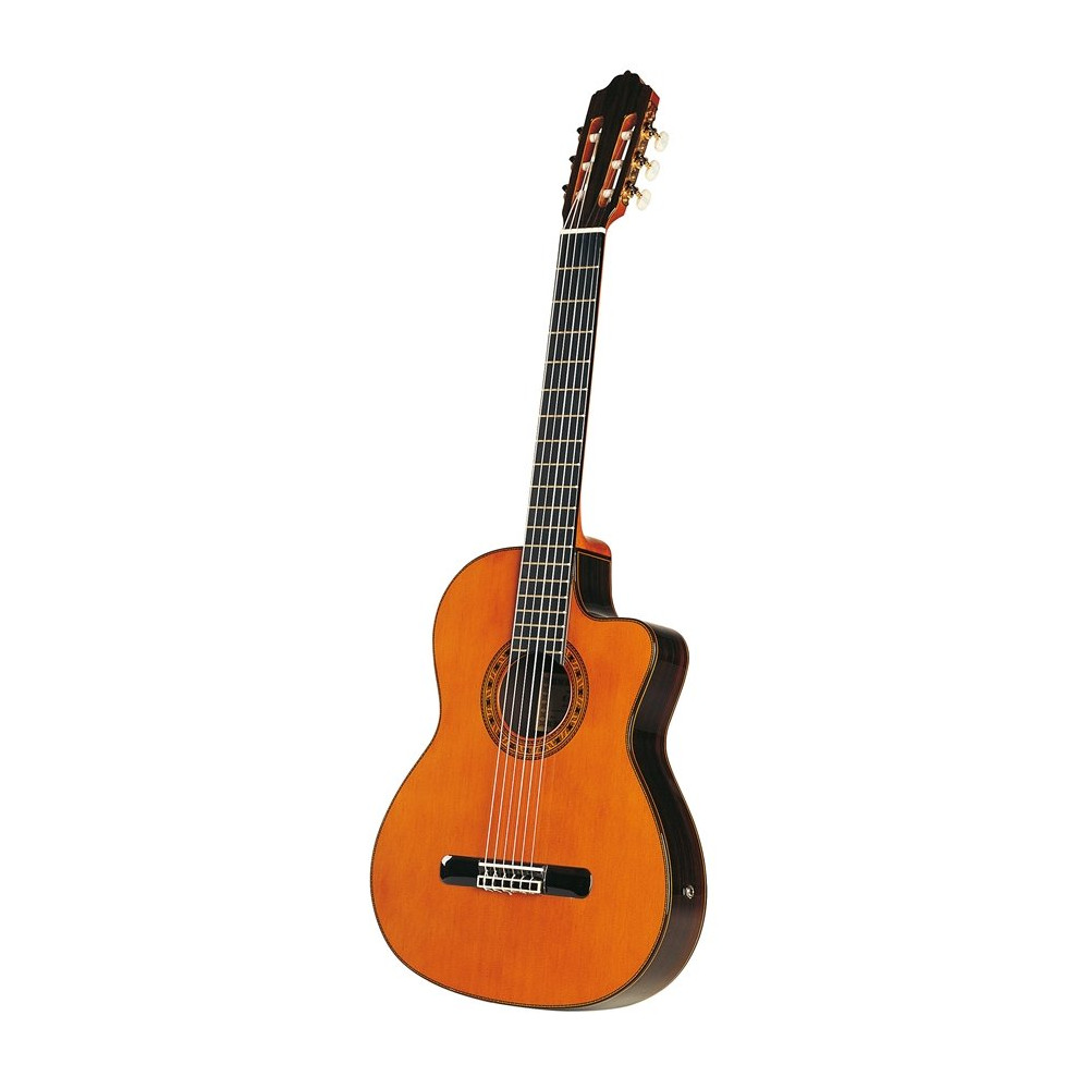 Elec Chitarra Classica Elettrificata