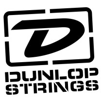 DPS09 Corda Singola .009 Liscia
