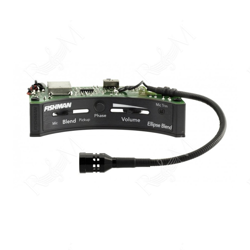 Ellipse Matrix Blend Pickup & Preamp System Narrow Format