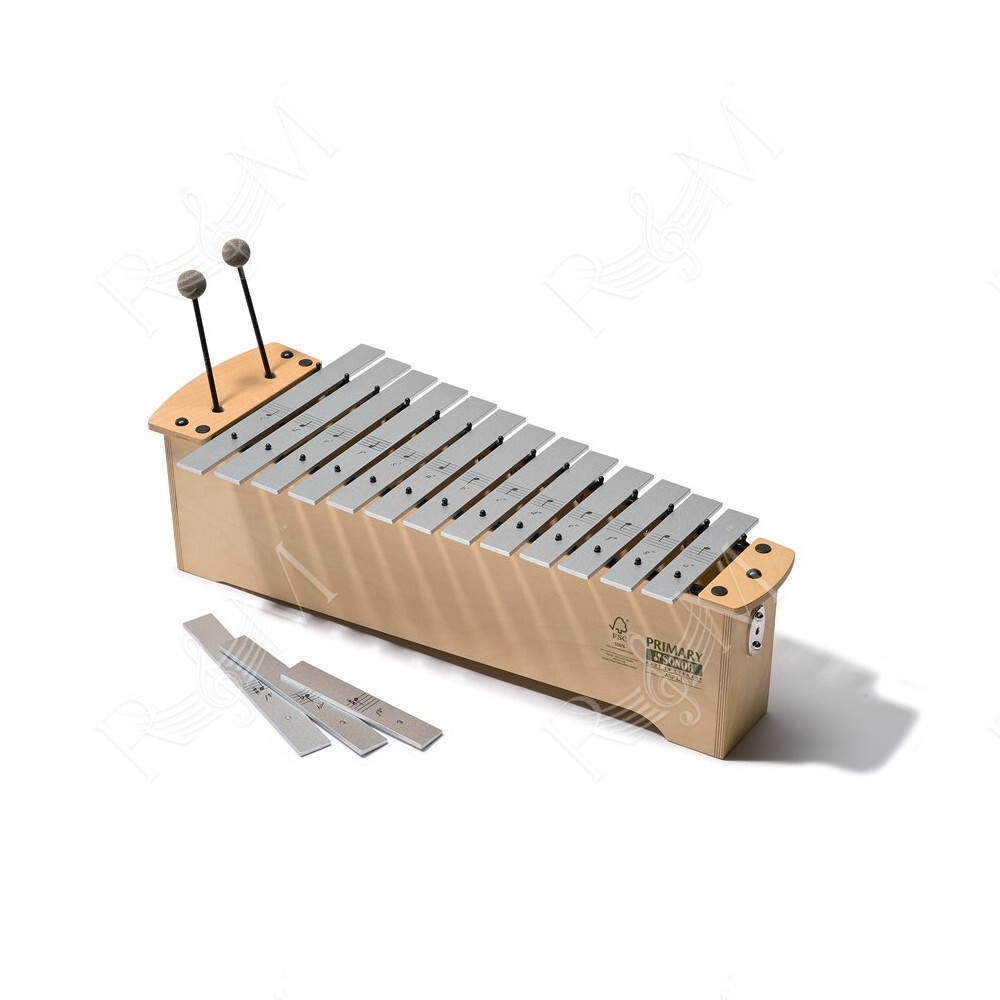 AMP 1.1 Metallofono Alto Primary