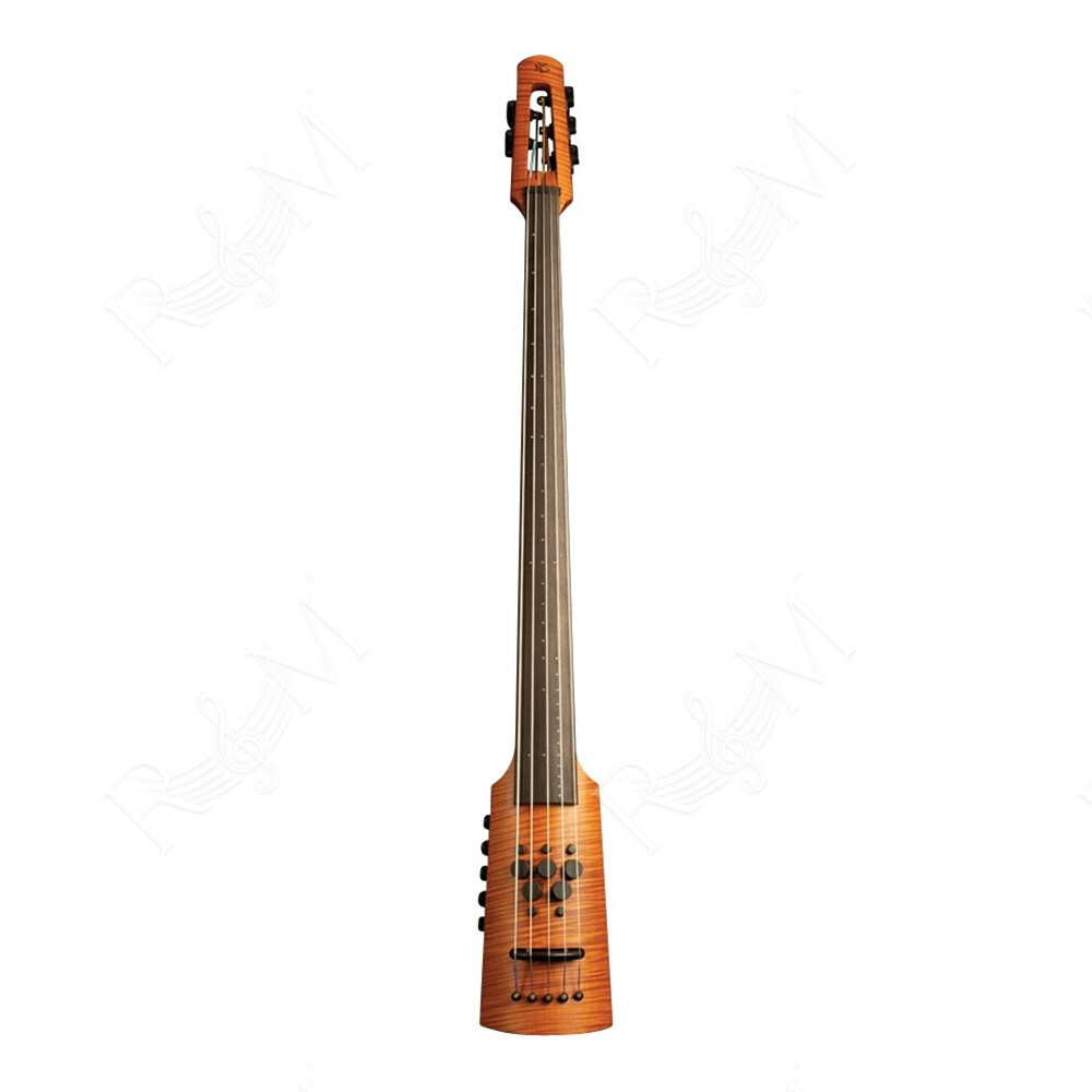 CR5 Omni Bass 5 Fretless Amber Stain