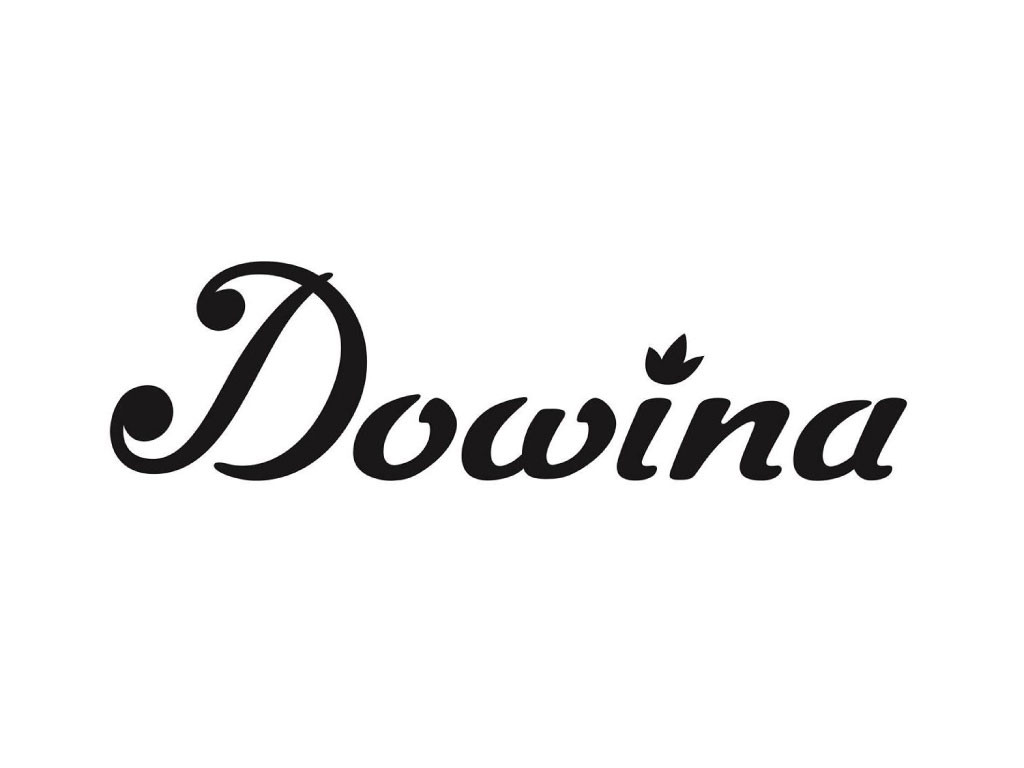 DOWINA